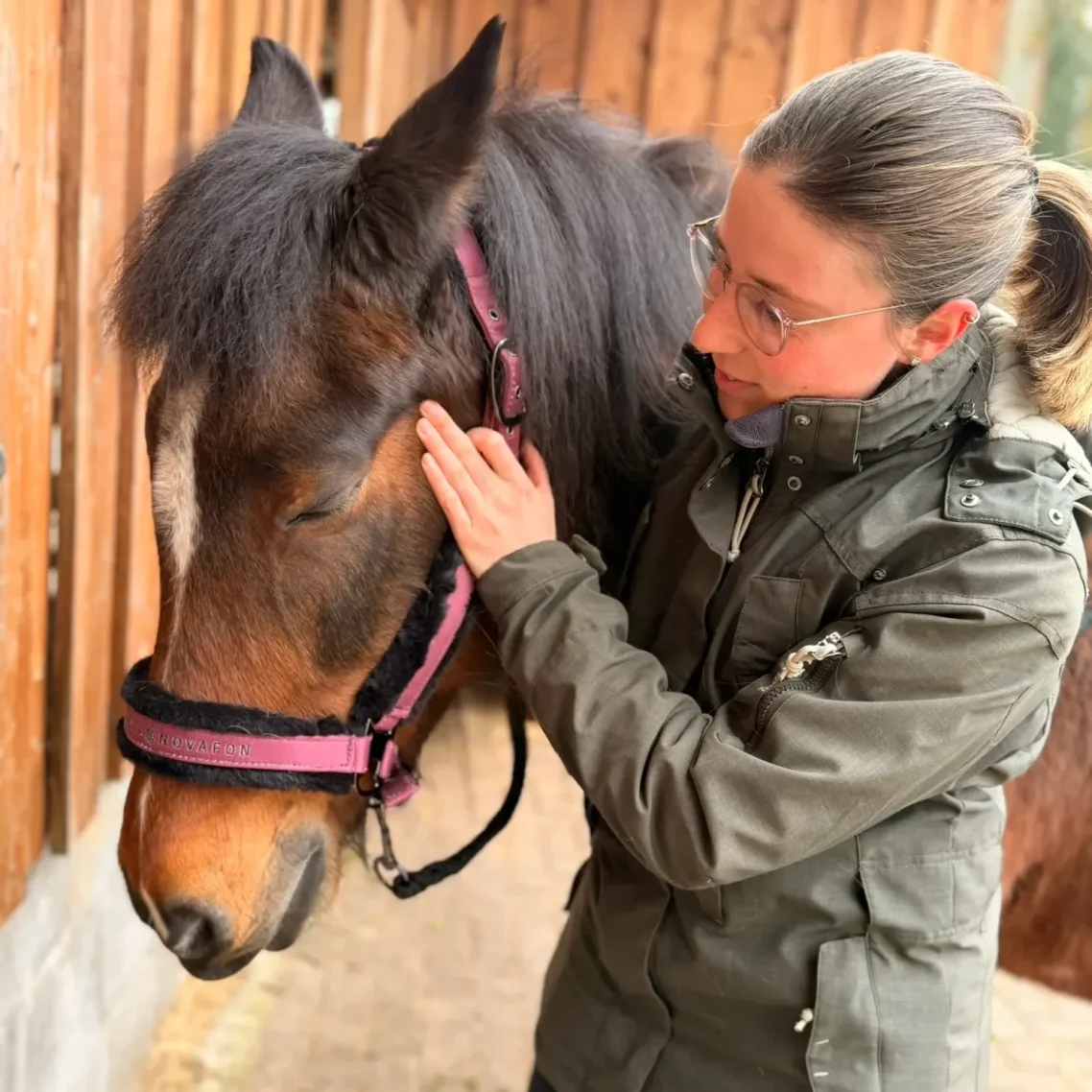 Behandlung eines Pferdes
