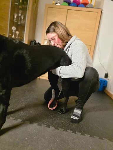Mobilitätsübung bei einem Hund