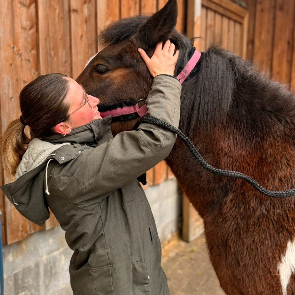 Behandlung eines Pferdes in Soltau