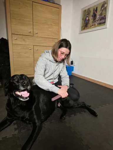 Anwendung eines NOVAFON Schallwellengeräts bei einem Hund