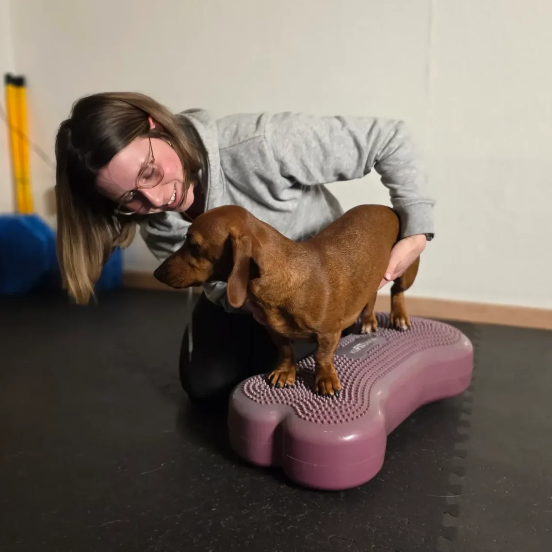 Stabilitätsübung für Hunde in Soltau