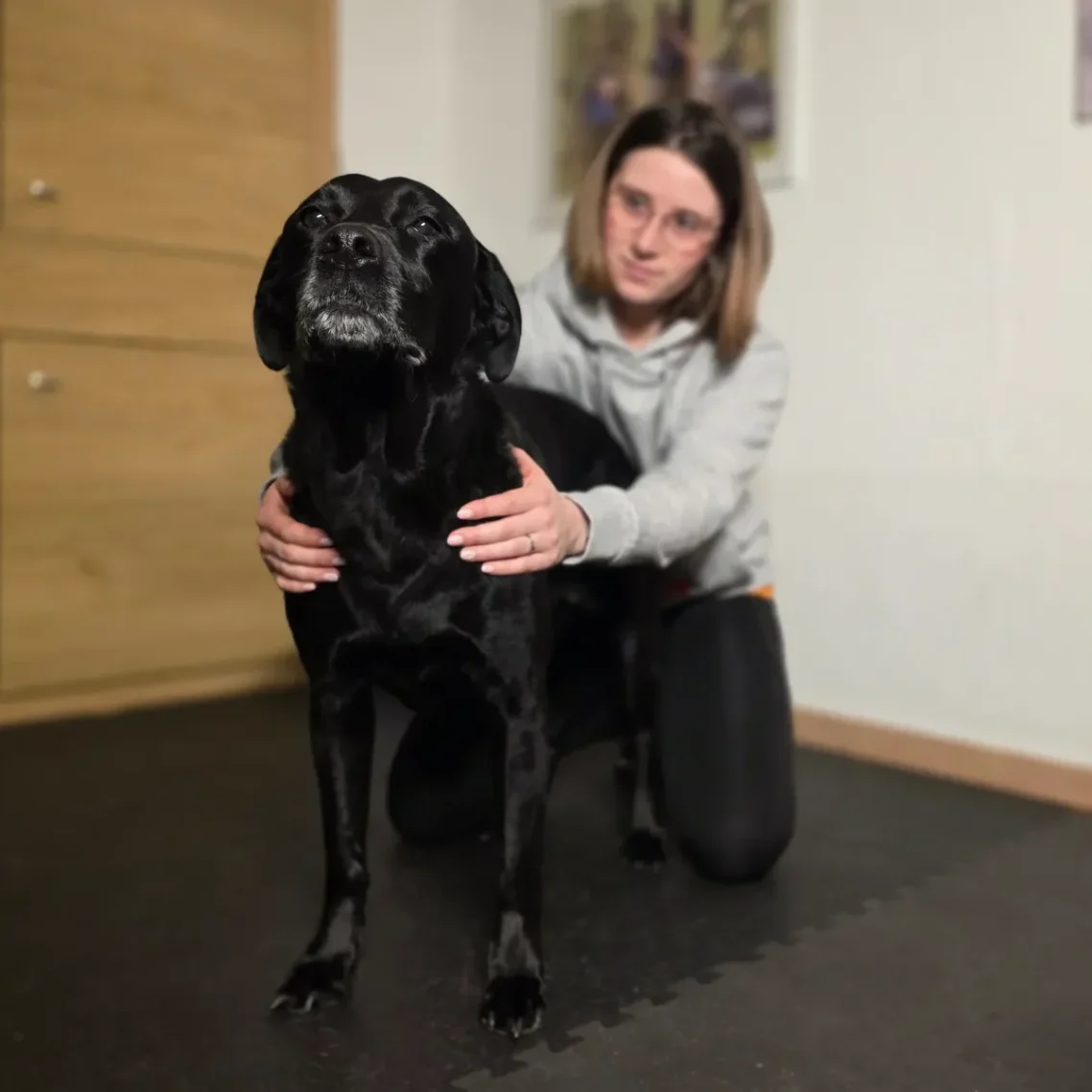 Behandlung eines Hundes in der Praxis Soltau